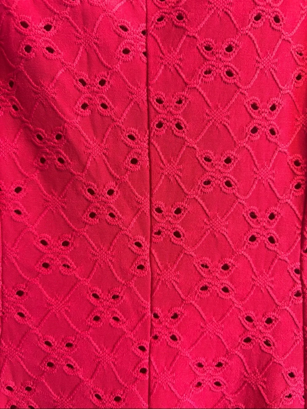 Sleeveless Raspberry Eyelet Fit & Flare Dress - Picture 4 of 5